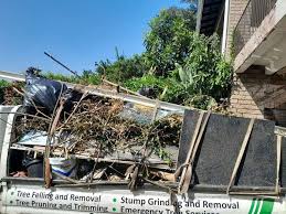 Best Recycling Services for Junk  in Makawao, HI